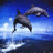 Dolphin icon graphics