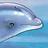 Dolphin icon graphics