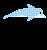 Dolphin icon graphics