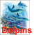 Dolphin icon graphics