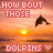 Dolphin icon graphics