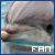 Dolphin icon graphics