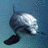 Dolphin icon graphics