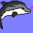 Dolphin icon graphics
