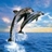 Dolphin icon graphics