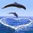 Dolphin icon graphics