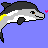 Dolphin icon graphics