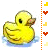 Ducks icon graphics