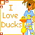 Ducks icon graphics