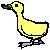 Ducks icon graphics