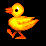 Ducks icon graphics