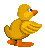 Ducks icon graphics