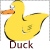 Ducks icon graphics