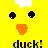 Ducks icon graphics