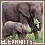 Elephant icon graphics