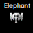 Elephant icon graphics