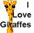 Giraffe icon graphics