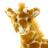 Giraffe icon graphics