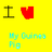 Guinea pig icon graphics