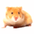 Hamsters icon graphics