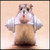 Hamsters icon graphics