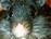 Hamsters icon graphics