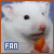 Hamsters icon graphics