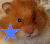 Hamsters icon graphics