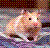 Hamsters icon graphics