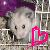 Hamsters icon graphics