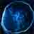 Jellyfish icon graphics