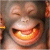 Monkeys icon graphics