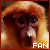 Monkeys icon graphics