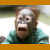 Monkeys icon graphics