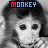 Monkeys icon graphics