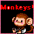 Monkeys icon graphics