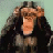 Monkeys icon graphics