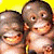 Monkeys icon graphics