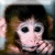 Monkeys icon graphics