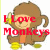 Monkeys icon graphics