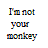 Monkeys icon graphics