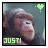 Monkeys icon graphics