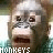 Monkeys icon graphics