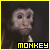 Monkeys icon graphics