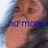 Monkeys icon graphics