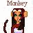 Monkeys icon graphics