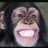 Monkeys icon graphics