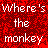 Monkeys icon graphics