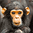 Monkeys icon graphics