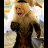 Monkeys icon graphics
